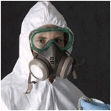 Mold Removal Professional
